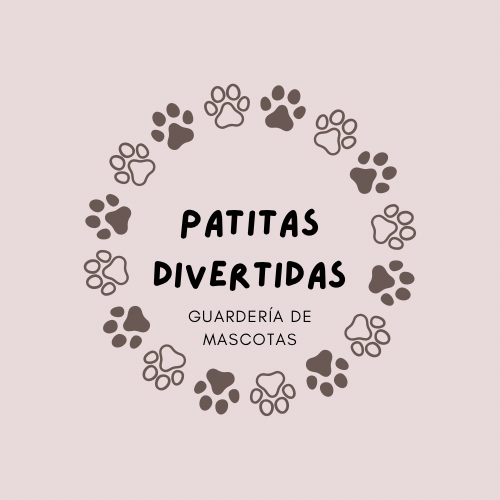 Volver a la página principal